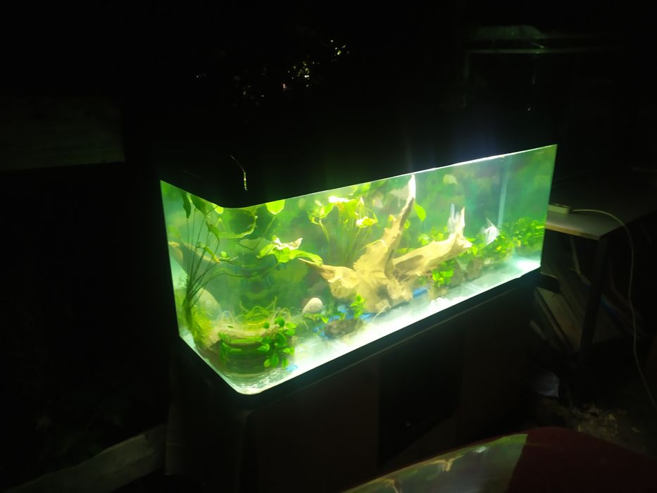 Заводской аквариум 440л .