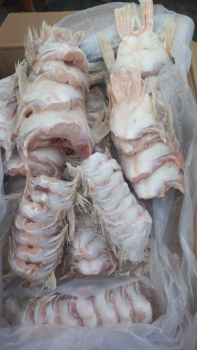 Плавники судака  мелкие