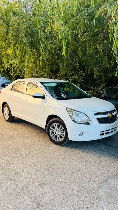 COBALT 2025/2026 masla