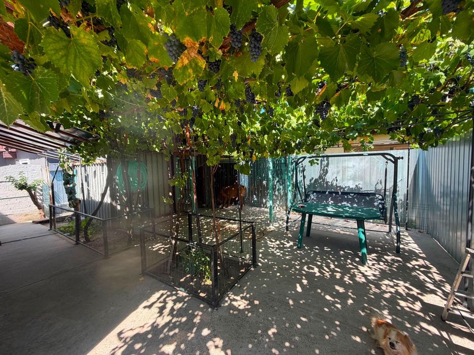 Vând casa În Bresti