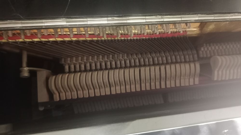 В хорошем качестве пианино Енисей