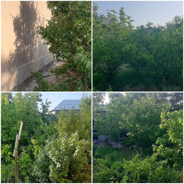 АРАЛОВУЛ 6сот зур жойда