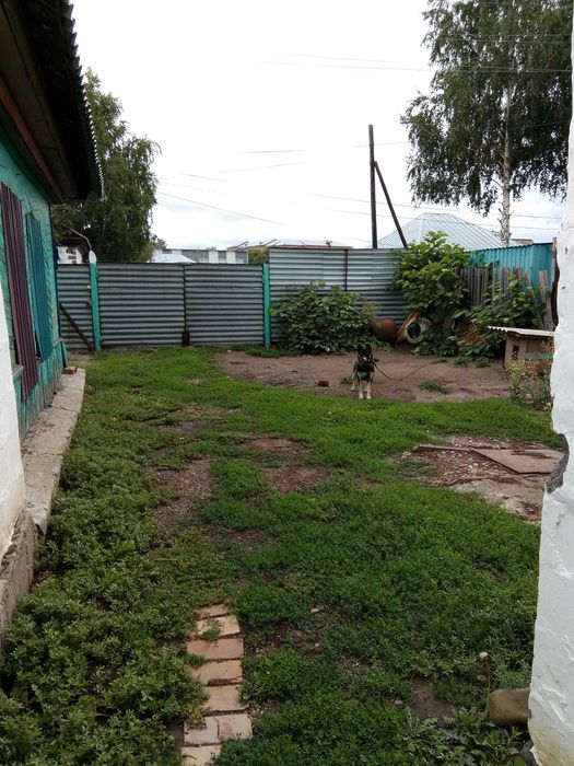 Продам дом в Усть-Таловке