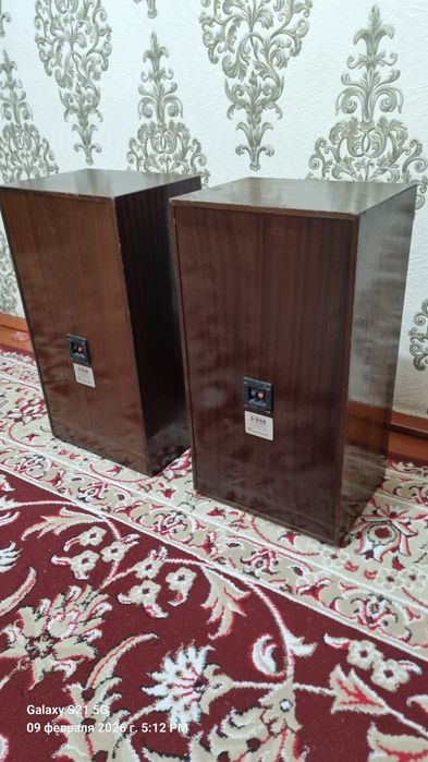 Radiotehnika S-50 sotiladi