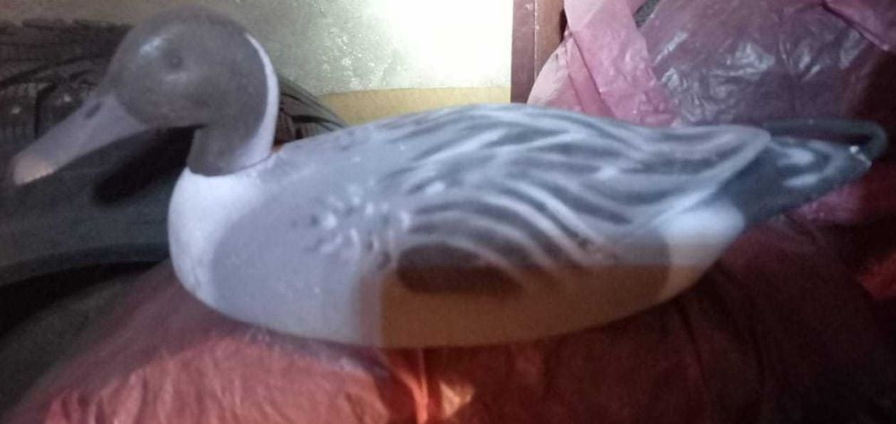 хобби, отдых, спорт