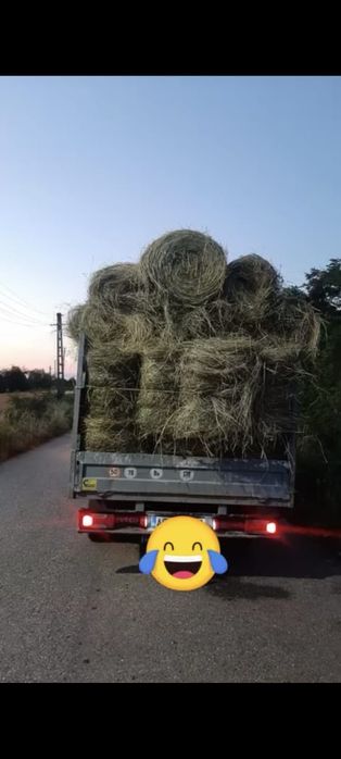 Avem balotii de vânzare