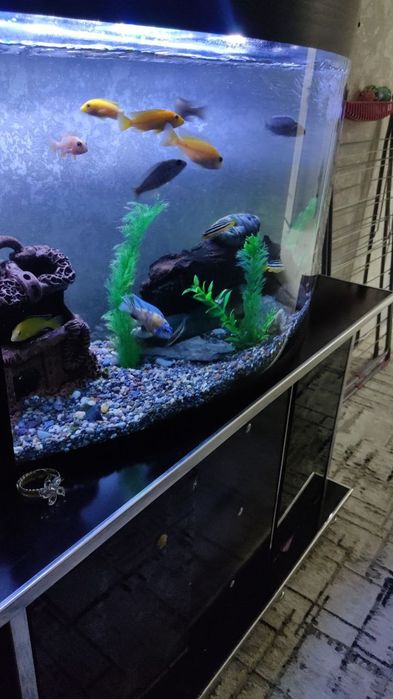 Akvarium 100 litr 900 000