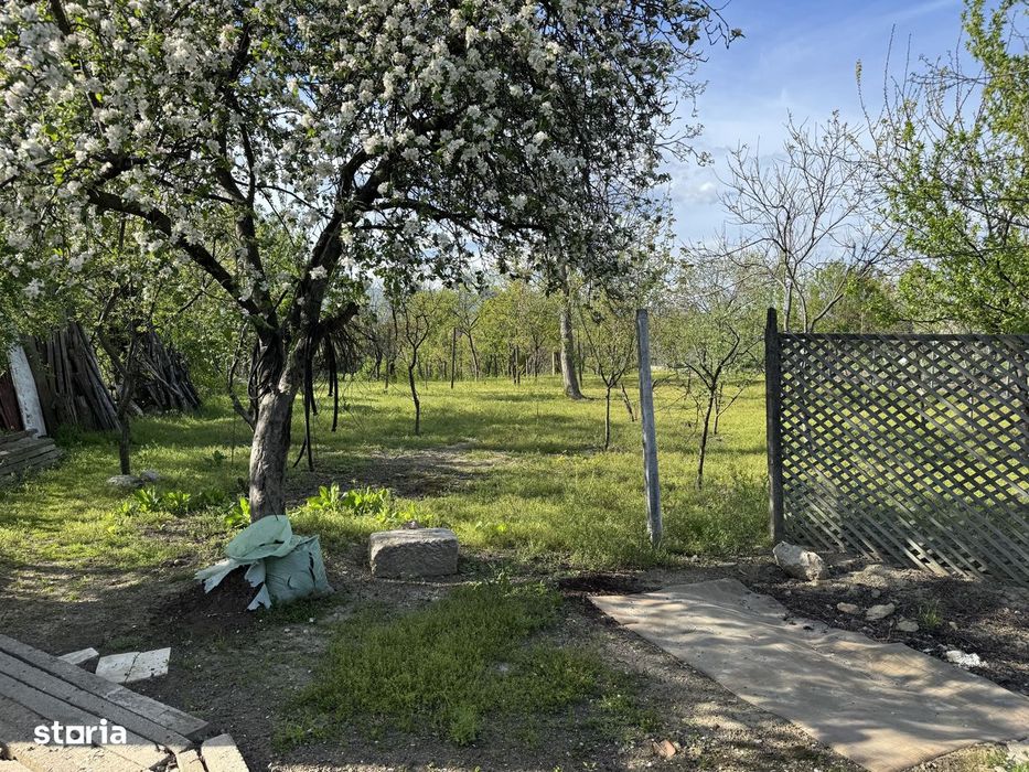 Ulmeni, Buzau, Casă cu pivniță și curte mare în mediul rural