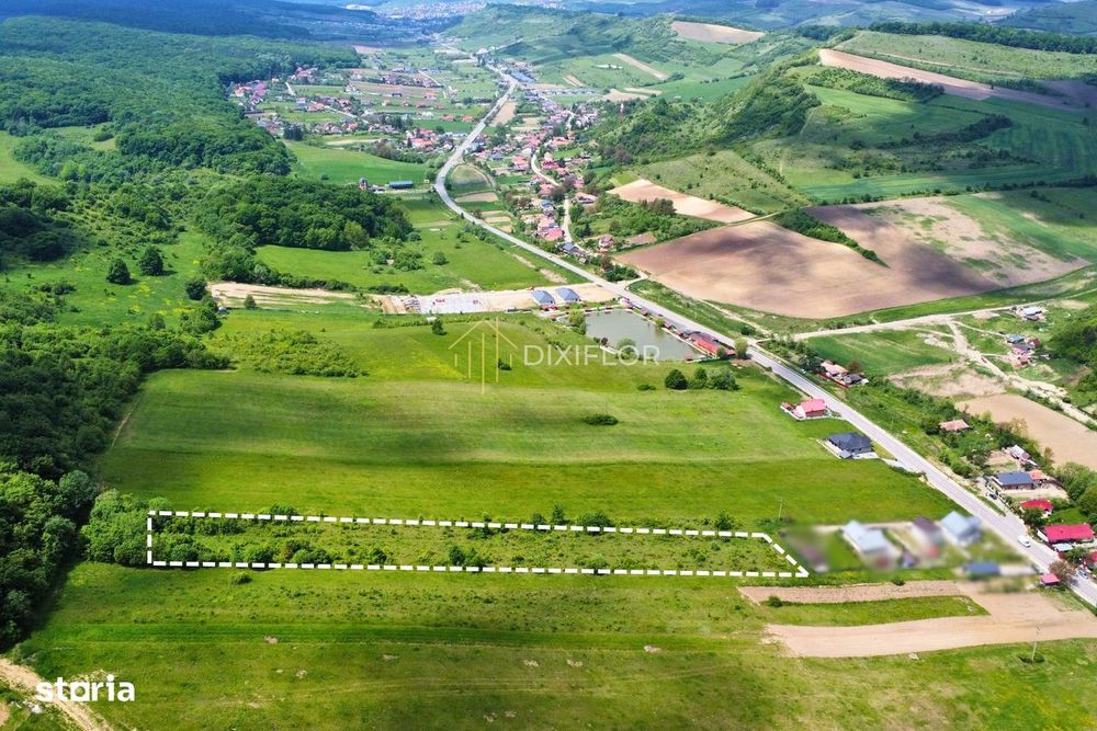 Teren intravilan | 7 parcele | Ivănești (com. Livezeni)