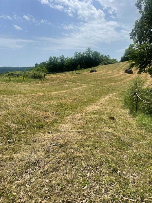 Teren extravilan de vanzare -faneata