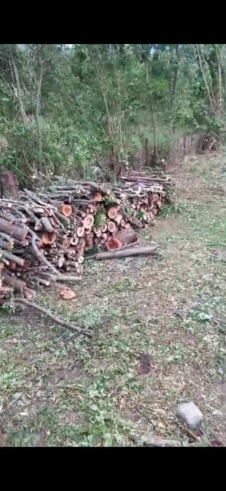 Defrișări  terenuri