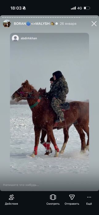 Кокпар ат срочнооо