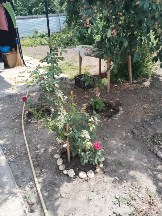 Продам дачу Ахмирова