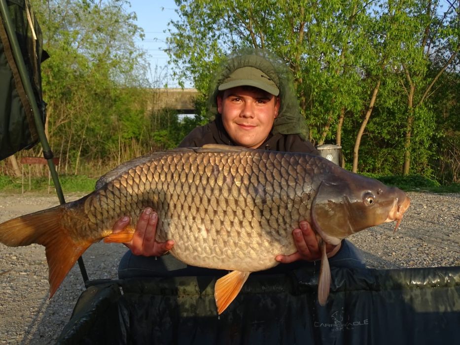 Monturi pescuit crap