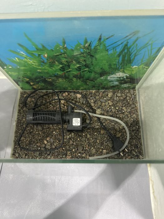 Продам аквариум с фильтром