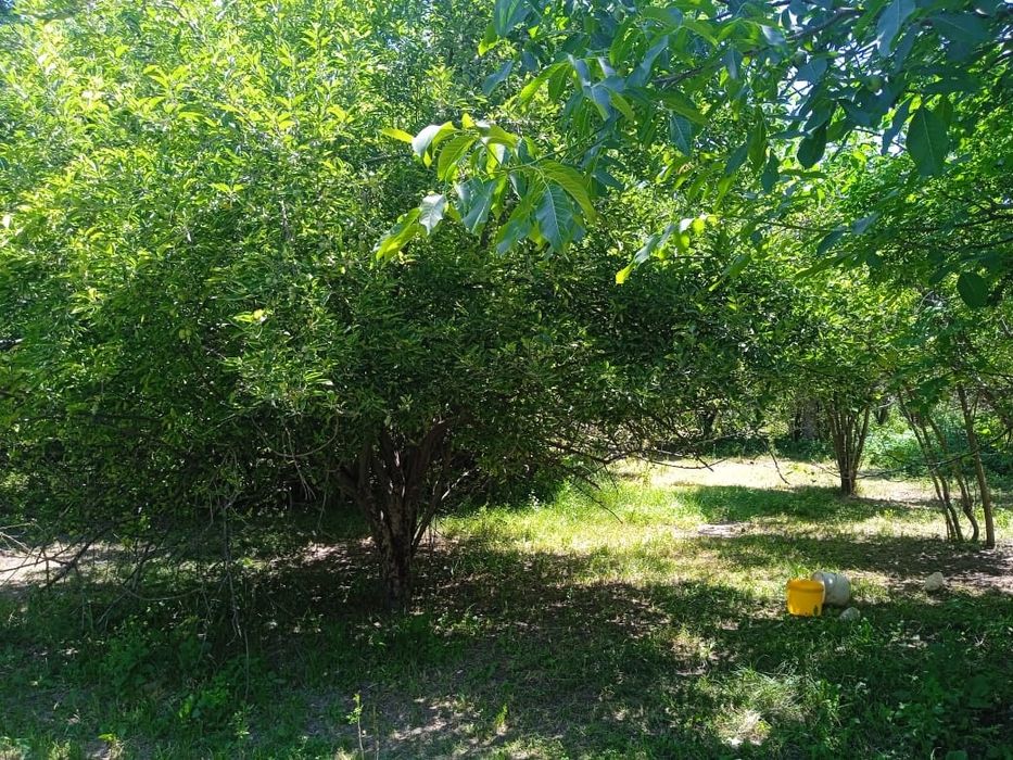 Дом в Георгиевке Көксәйек аудан