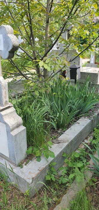Loc de veci cimitir Pantelimon 2