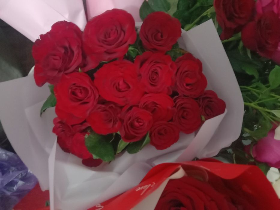 Роза гүл сатылымда
