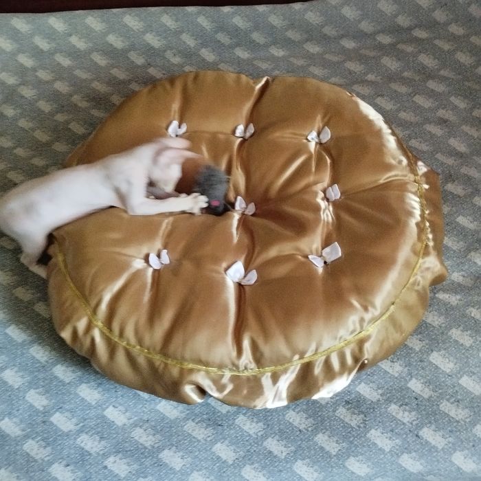 Лежанка для кошек и собачек.