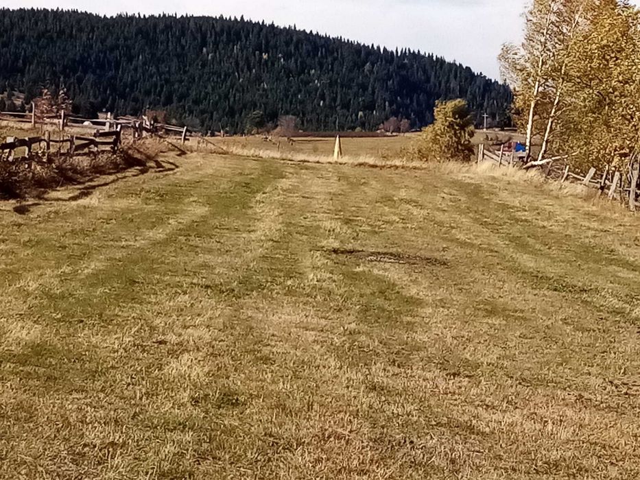Vând teren pentru cabana la munte