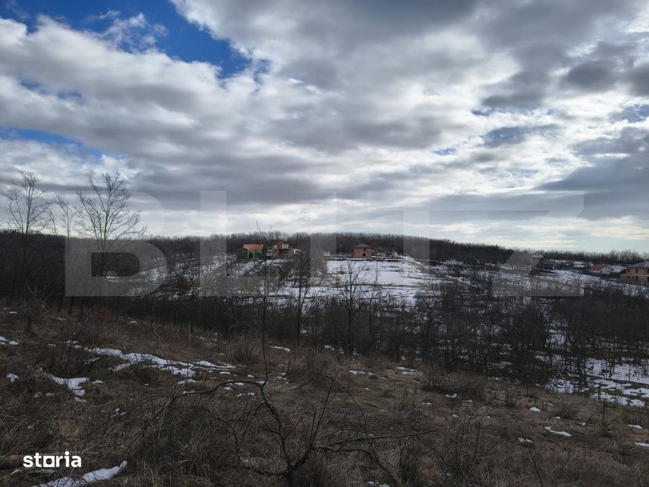 Teren Cu Potential Deosebit Gageni