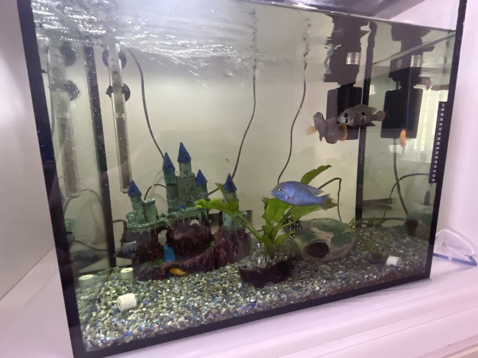 Аквариум 90л комплект