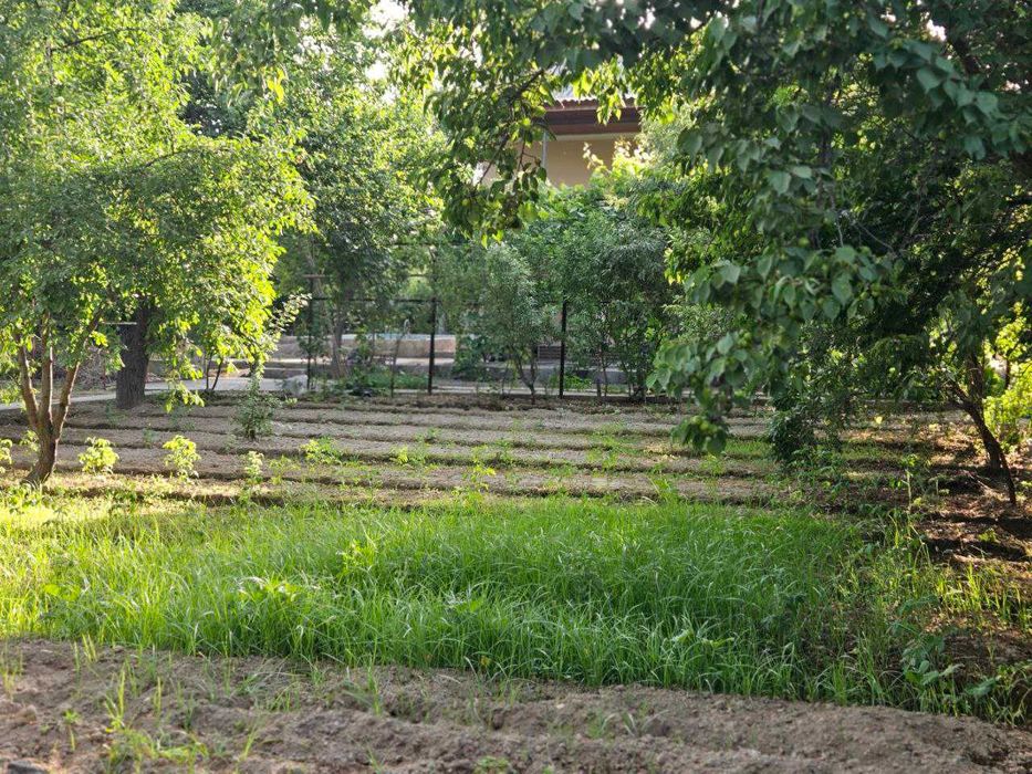 Продается дача 16,5 соток на Қуйи чирчиқ.