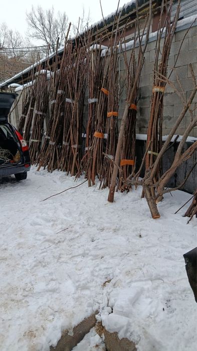 Плотник , бригада мастеров по дереву ,