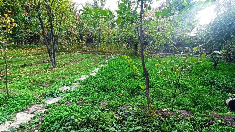 Продаётся участок земли 12 соток в Зангиотинском районе с двумя домами