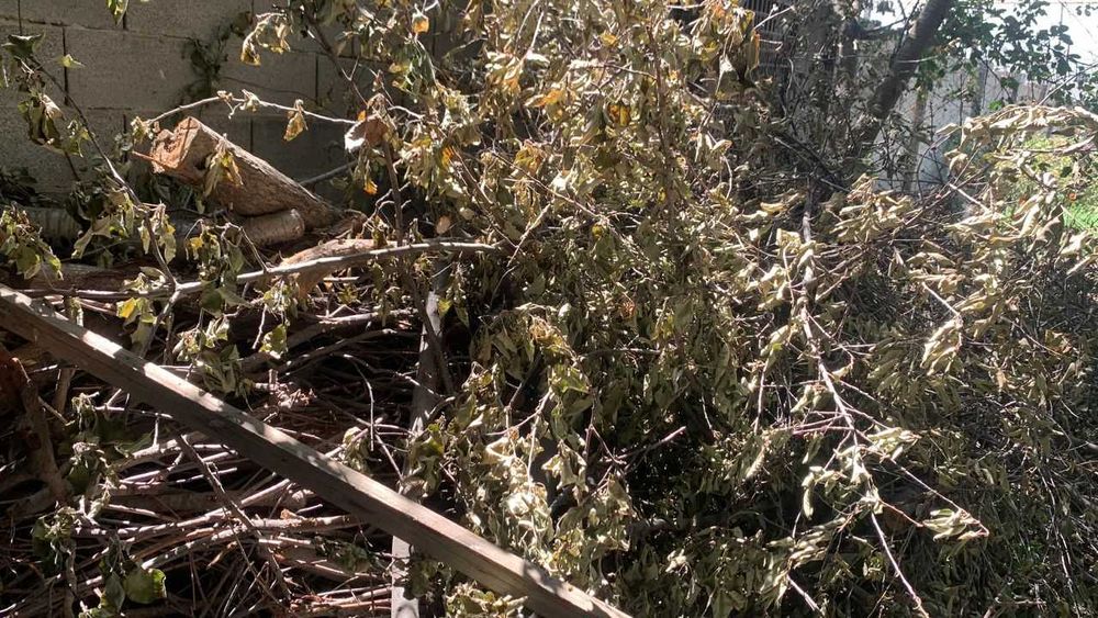 ДРОВА для Бани Дома Дачи БЕСПЛАТНО