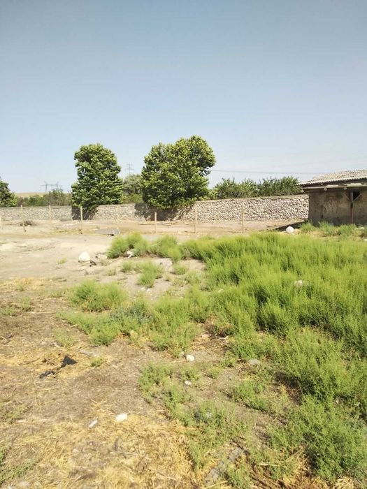 Хусусий ферма сотилади