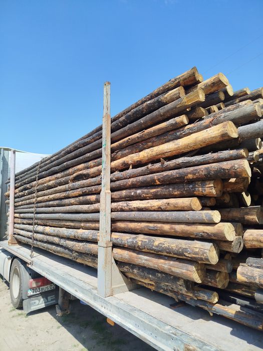 КРУГЛЯК,Балка,Сосна