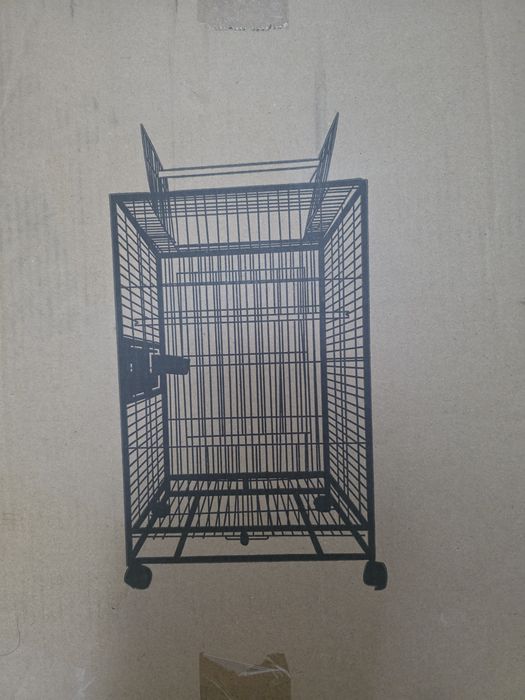 papagali amorezi/agapornis,nimfa,perus, cantator si colivii