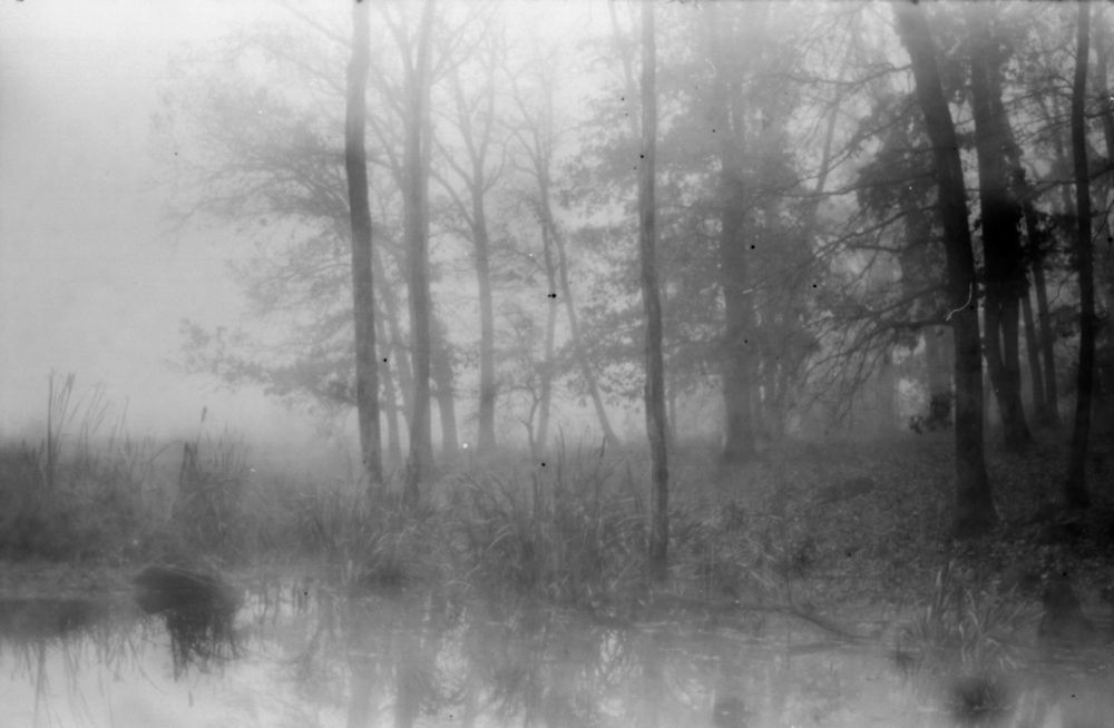 Film 35mm alb negru, Vellokrom Mezzopan expirat