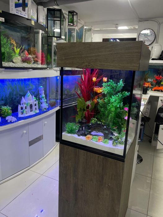AquaTerra do'koni Akvarium va Baliqlar