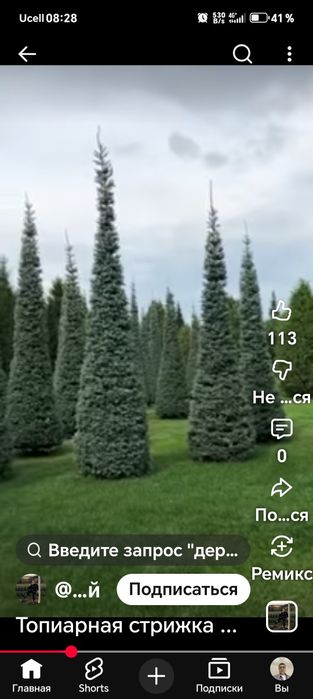 Все садовые работы