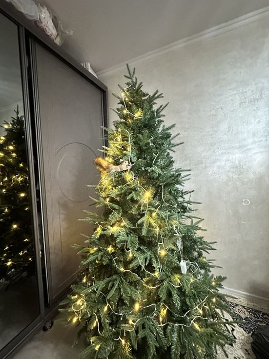 Елка премиум качества