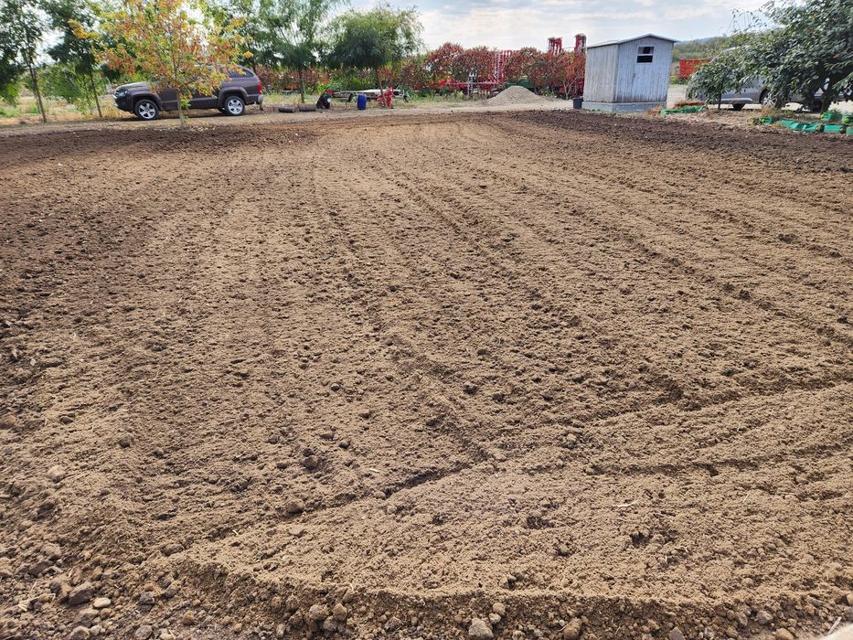 Peisagistica: tuns iarba, sisteme de irigat, intretinere gazon.