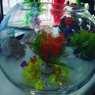 Аквариум100л  . Навои Торайгырова