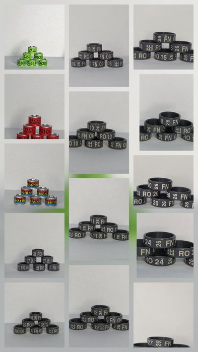 Inele Porumbei..clipsuri..Suporti Inele..Oua de plastic