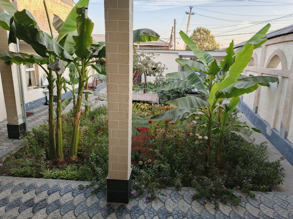 Продаётся участок Сергелинский р-н Ханабад 4.75с 6ком торцевая