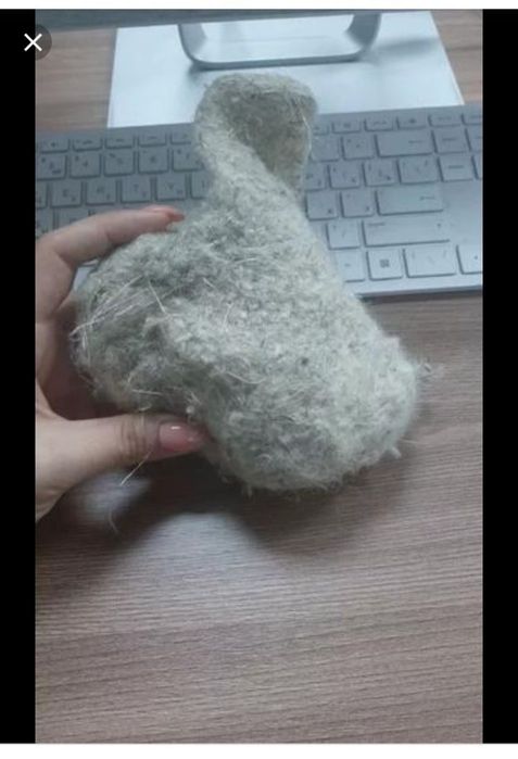 Гнездо ремезы настоящие