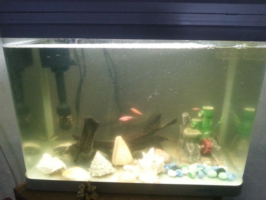 Продам заводской аквариум фирмы JEBO 35 литров