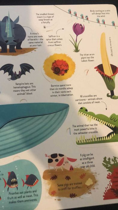 General Knowledge Usborne
