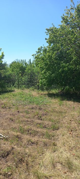 Продаётся дача на Новеньком