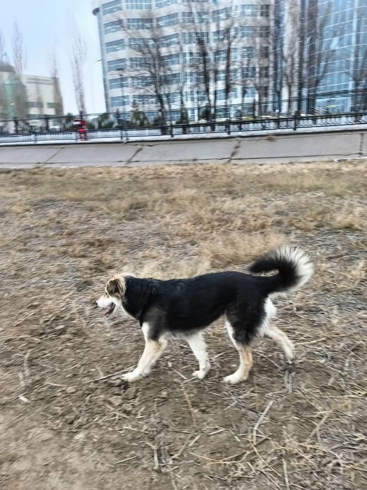 В добрые ответственные ручки