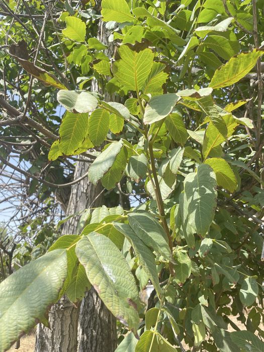 Продам участок земли