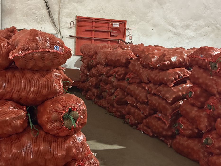 Картофель гала 150 тенге отпом