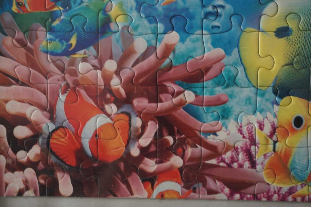 Imagine puzzle cu tematică marină (204 piese, cu cadru)