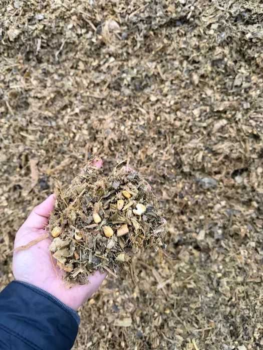 Силос (Маккажухори силоси 120 кунлик)